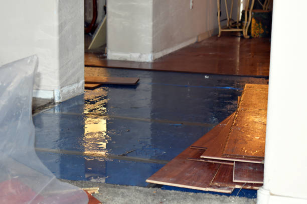 Professional Water Extraction technician working in Trufant, MI